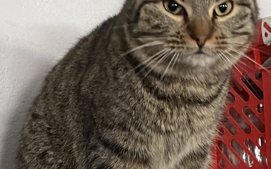 Conny – from the hardware store parking lot