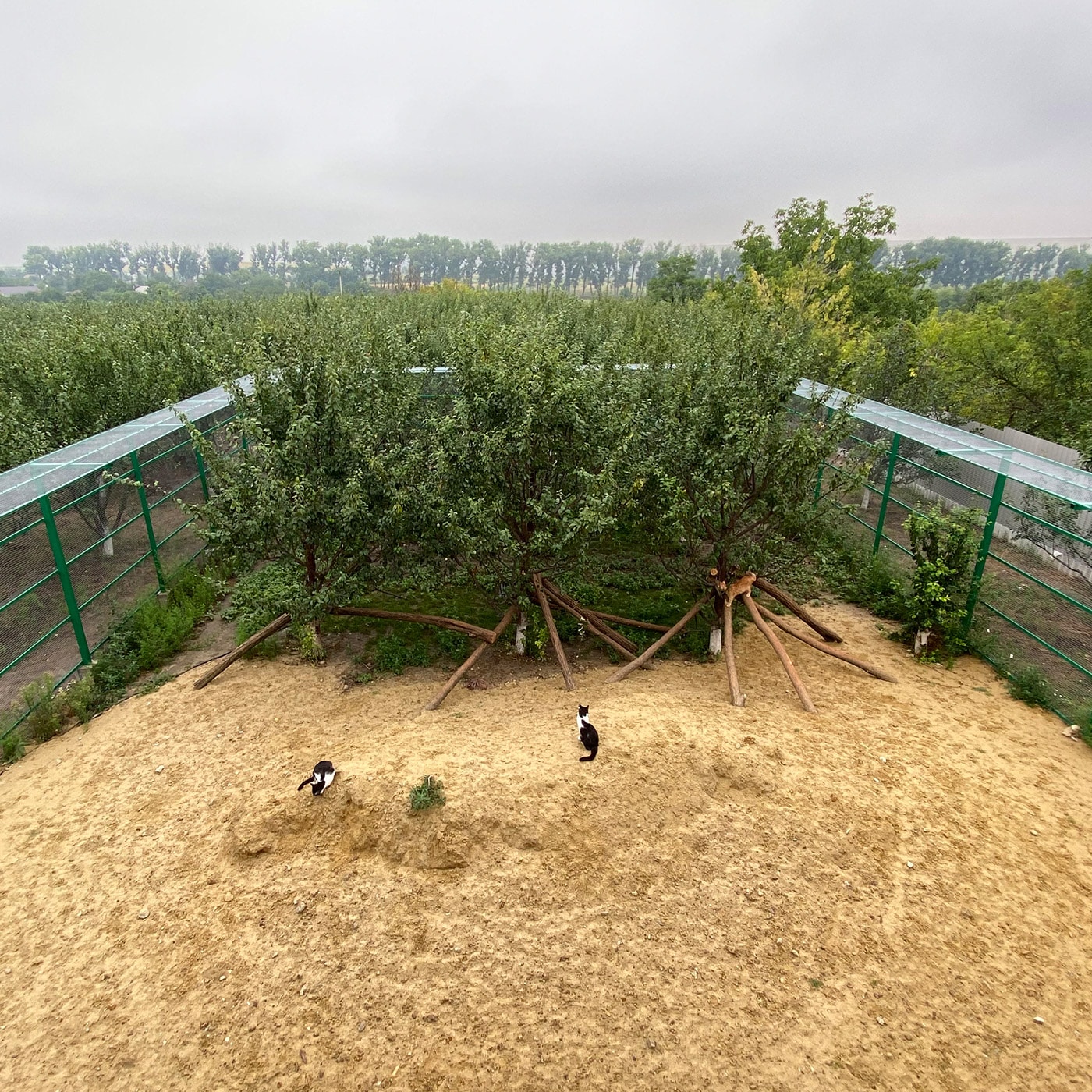 CatSalvaCura - Außengelände