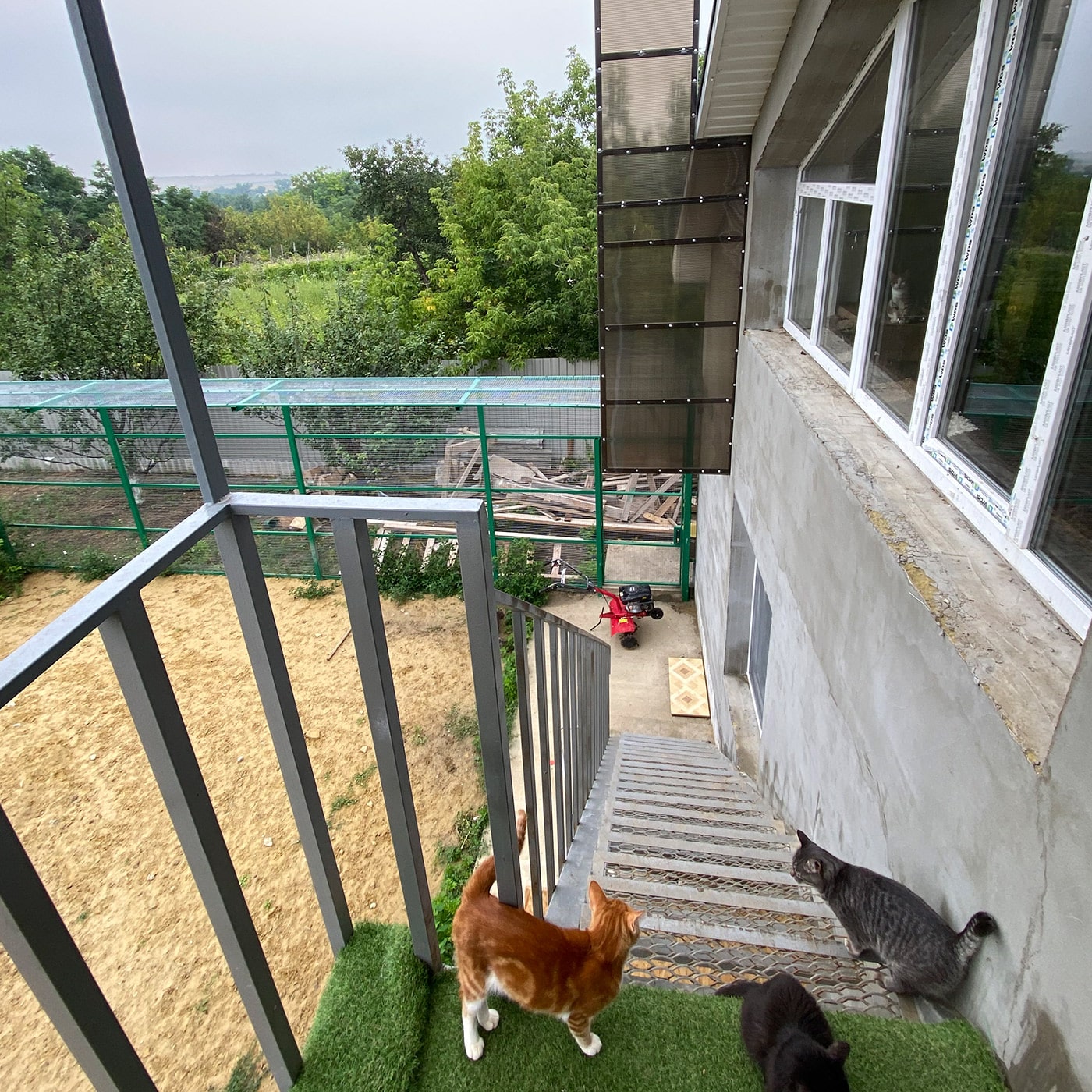 CatSalvaCura - Außengelände