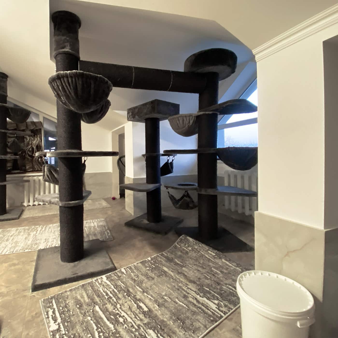 CatSalvaCura - Innenansicht