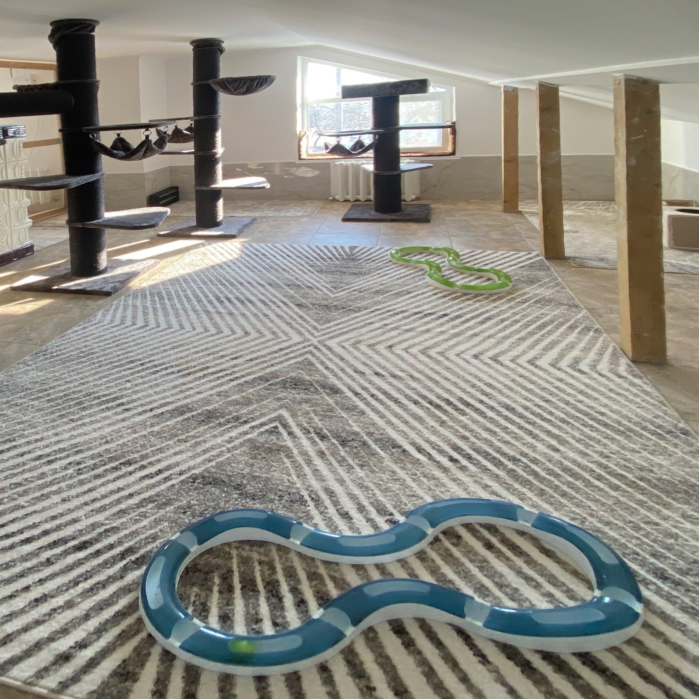 CatSalvaCura - Innenansicht