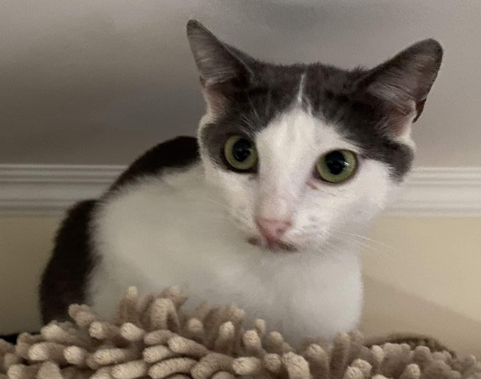 Michichika Michichika