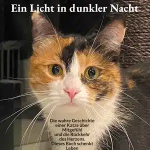 Die Katze Luni