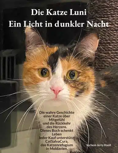 Die Katze Luni